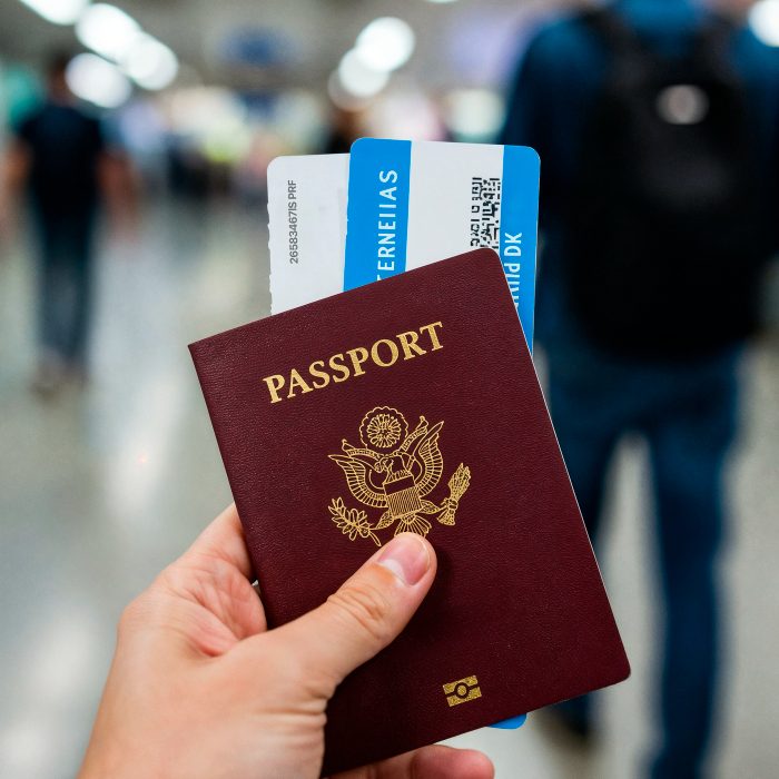 Dubai immigration services & visas I Services I Twiga Tourism
